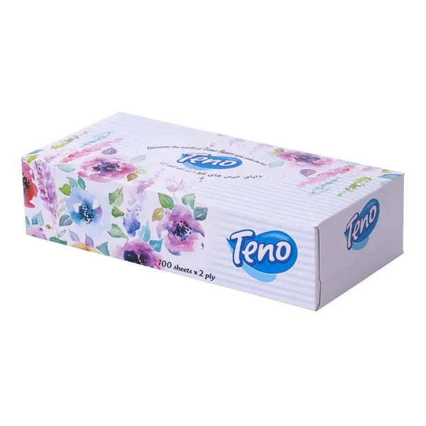 دستمال کاغذی دو لایه 100 برگ تنو
