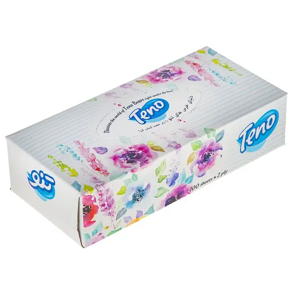 دستمال کاغذی دو لایه 100 برگ تنو