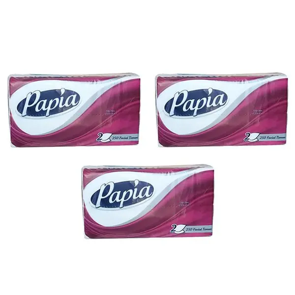دستمال کاغذی اقتصادی سافت پاپیا - 250 برگ 2 لایه