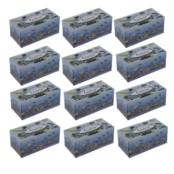 دستمال کاغذی 100 برگ  گلریز مدل Aquarium