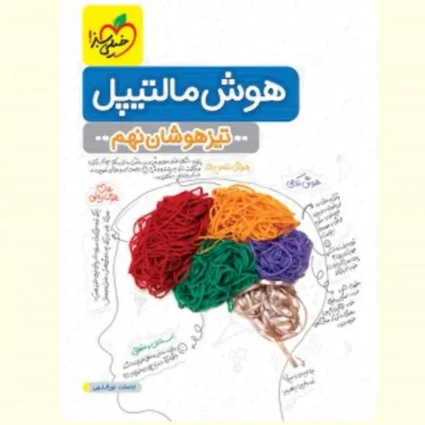 کتاب هوش مالتیپل تیزهوشان نهم اثر اباصلت نورالهی و بهزاد اسدالله انتشارات خیلی سبز