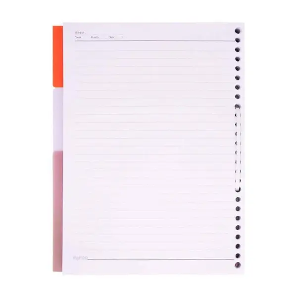 کاغذ کلاسوری پاپکو کد 009 بسته 100 عددی