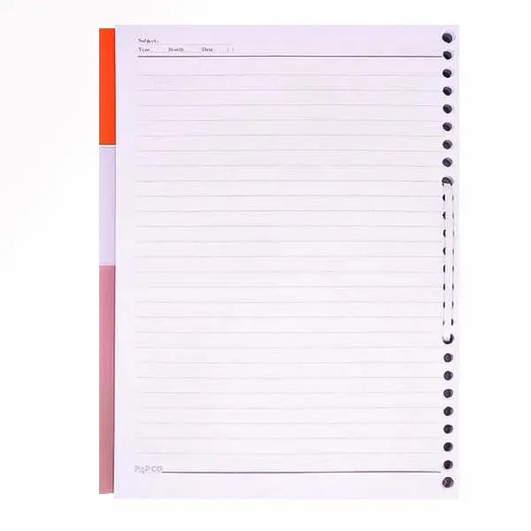 کاغذ کلاسوری پاپکو کد 009 بسته 100 عددی