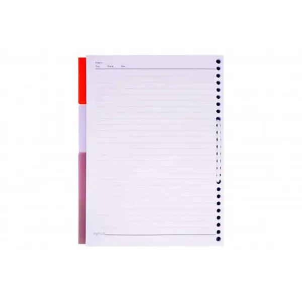 کاغذ کلاسوری پاپکو کد 009 بسته 100 عددی
