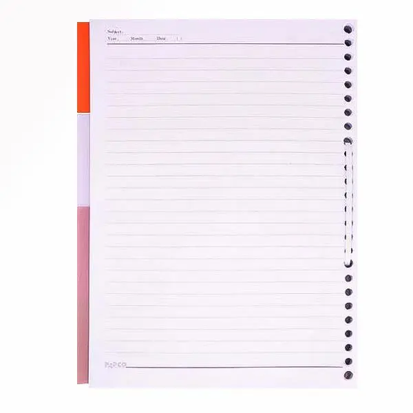 کاغذ کلاسوری پاپکو کد 009 بسته 100 عددی