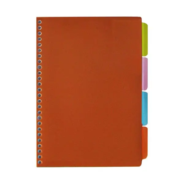 کاغذ کلاسور کد 9790 بسته 100 عددی - 2
