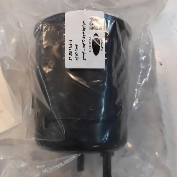 کنیستر بنزین ریو