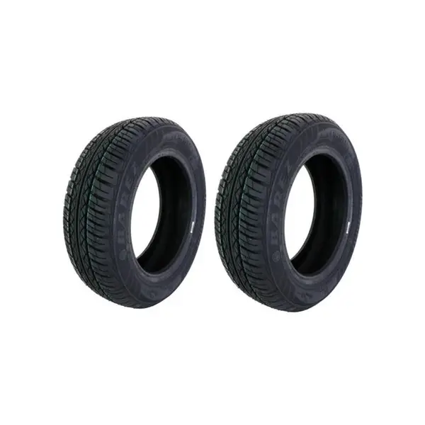 لاستیک بارز 165/65R 13 گل P660