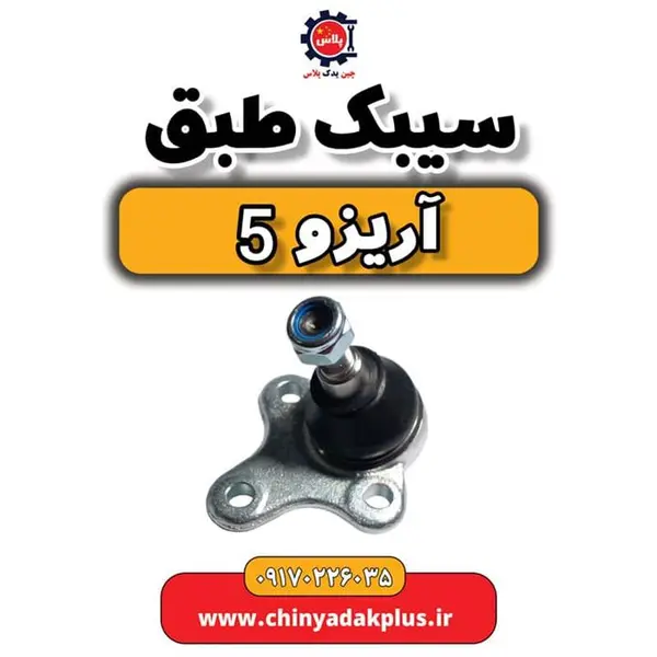 سیبک طبق آریزو5