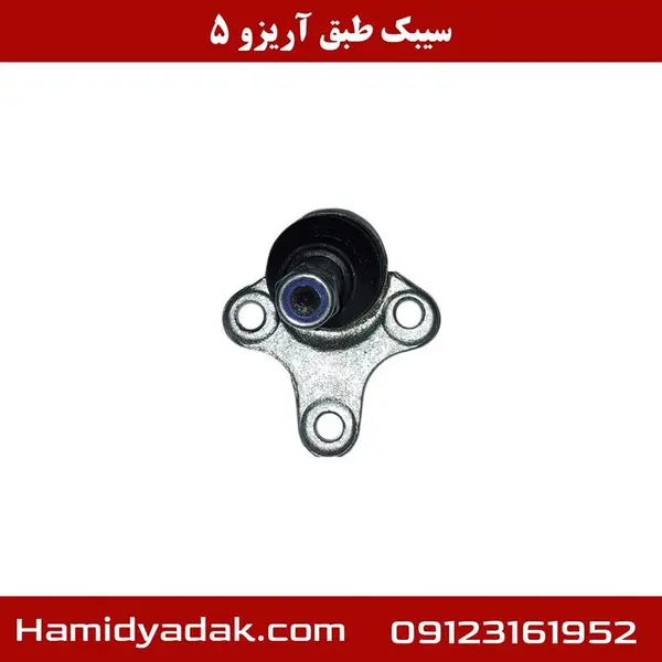 سیبک طبق آریزو5