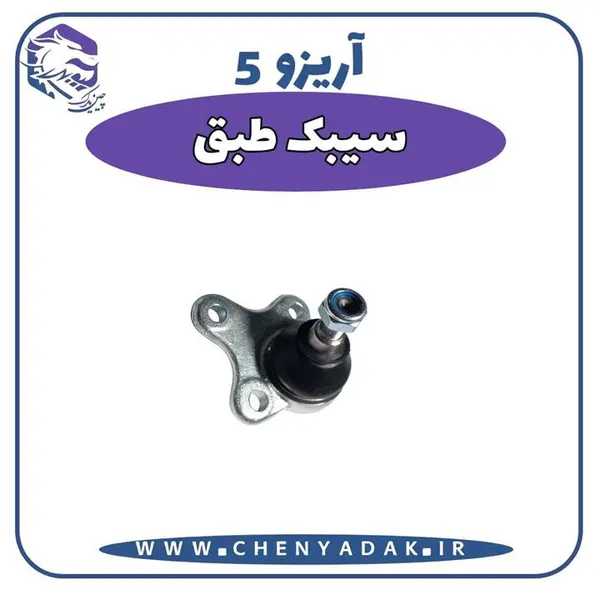 سیبک طبق آریزو5