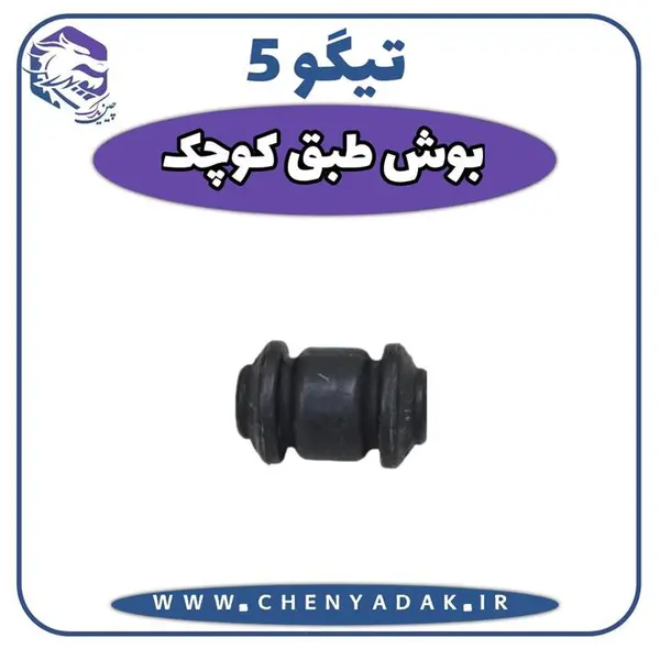 بوش طبق کوچک چری تیگو 5
