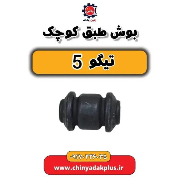 بوش طبق کوچک چری تیگو 5