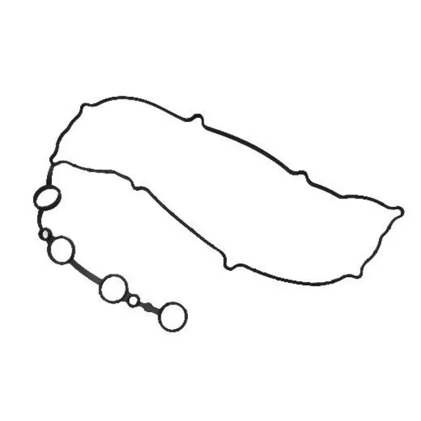 واشر درب سوپاپ ریو