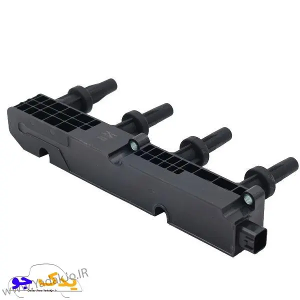 کوئل رانا کروز