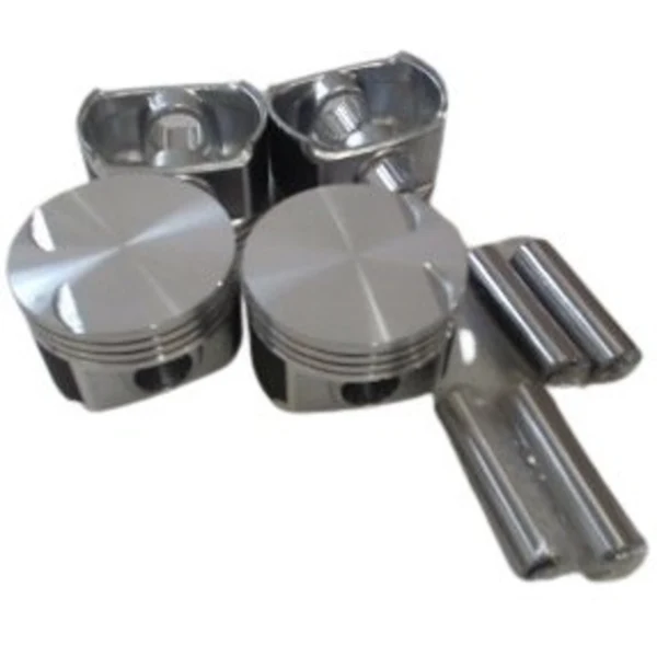 پیستون 25 MVM315 BEHLE