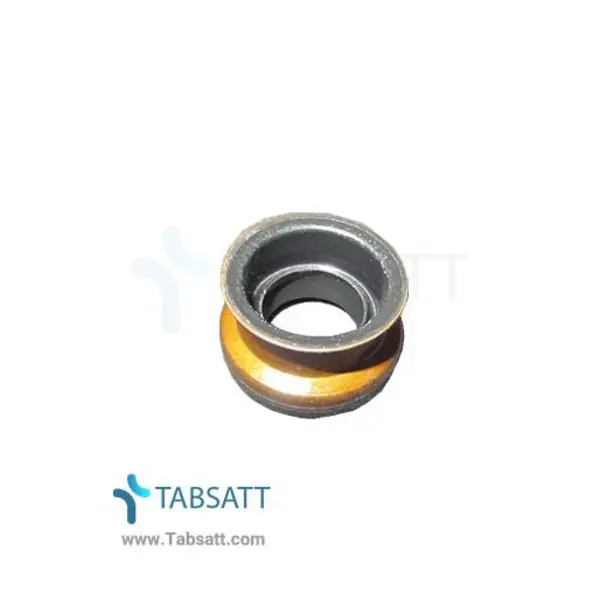 کاسه نمد ساق سوپاپ ویژن کد 354645 مناسب برای پراید