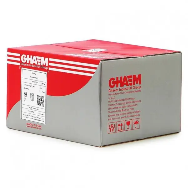 بوش و پیستون 405 قائم