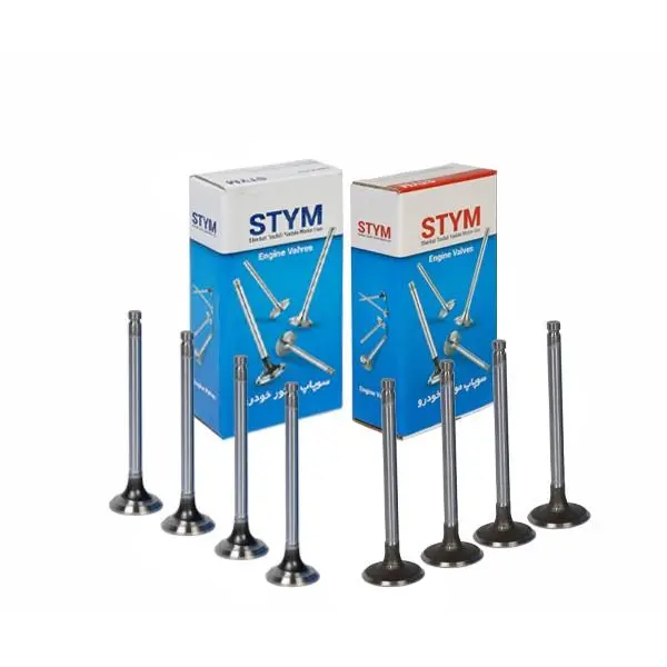 سوپاپ پژو 405 برند (STYM) ساوه |مجموعه هوا و دود