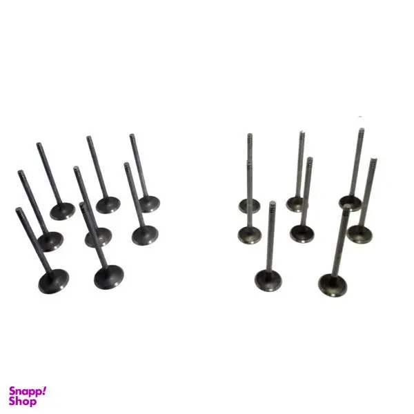 سوپاپ دود و هوا ام وی ام X33 مدل 481H-1007011BA بسته 16 عددی