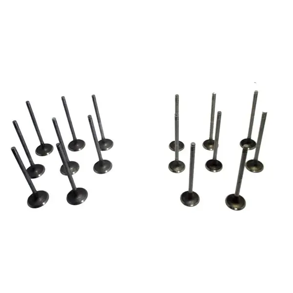 سوپاپ دود و هوا لیفان X60 مدل LFB479Q-1007011A بسته 16 عددی - 4