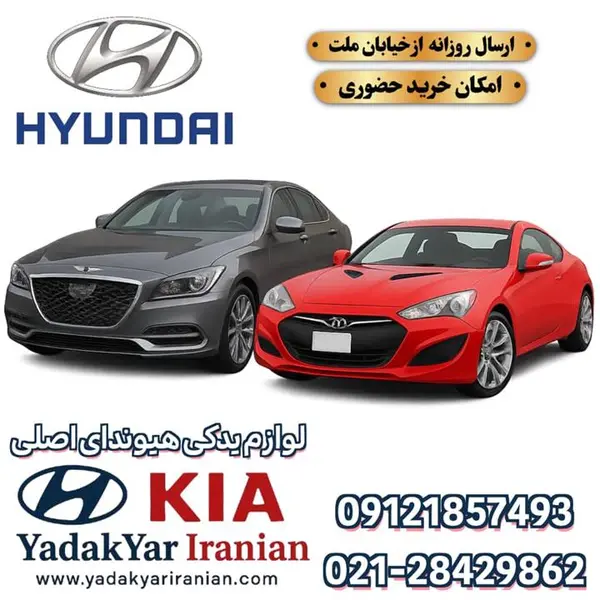 پولی سر میل لنگ جنسیس