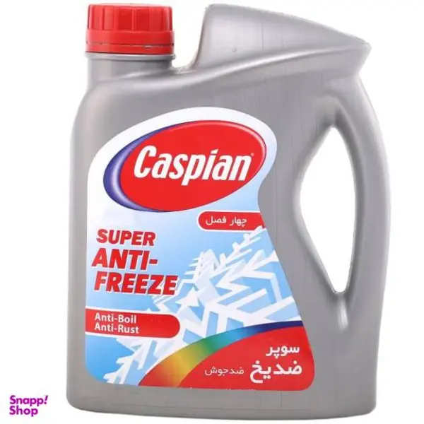 ضدیخ خودرو کاسپین مدل چهارفصل وزن 4 کیلوگرم - 2