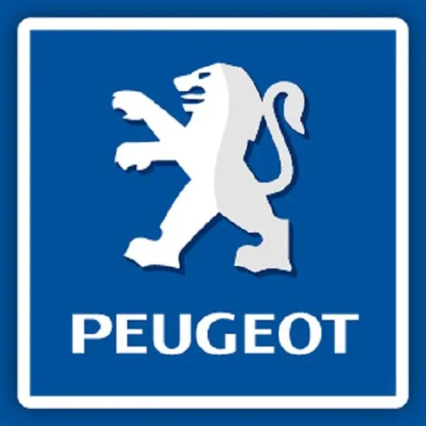 قیفی گیربکس 405