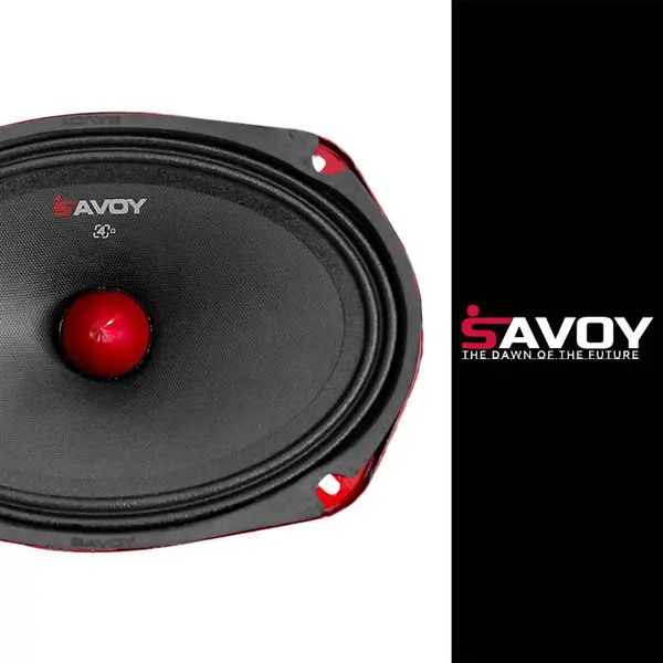 میدرنج بیضی حرفه ای ساووی SV-6902 - 2