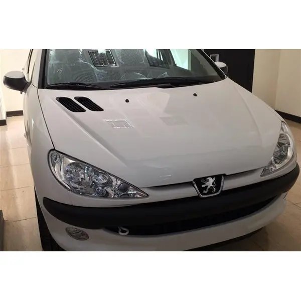 پژو 206  تیپ 2 1398