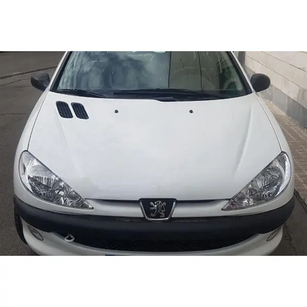 پژو  206 تیپ 2 1399