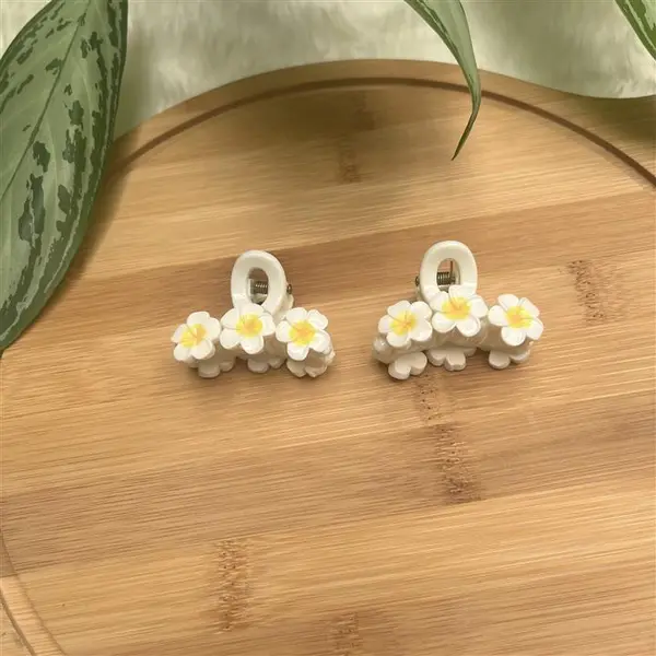 کلیپس پلومریا کوچک کد 195