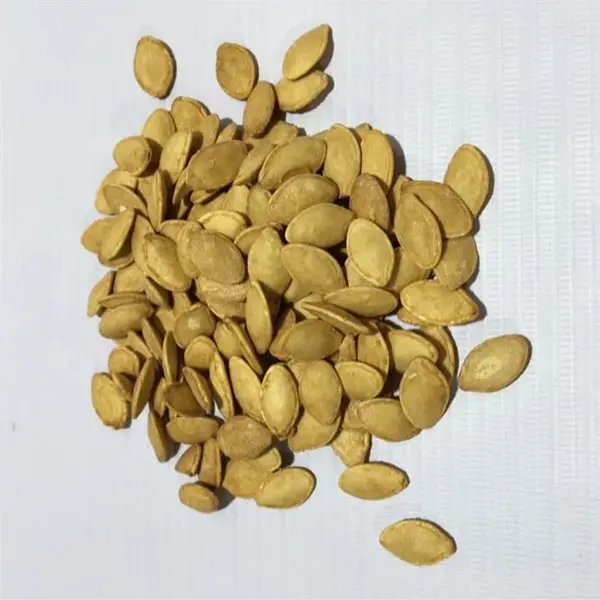 انبر خار جمع بازکن دینگشی مدل QI سایز 8 اینچ - 3