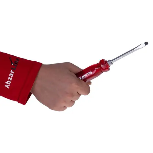 پیچ گوشتی ضربه خور دوسو 6×100 رونیکس RH-2960