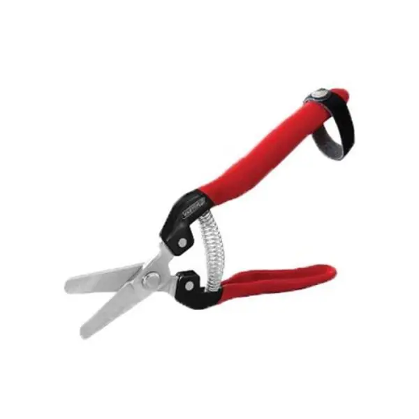 قیچی میوه چینی سرکج واستر VFP010 - 2