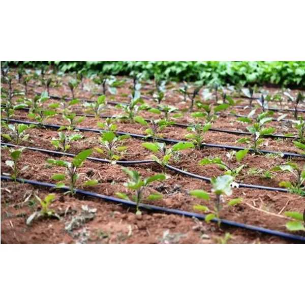 نوار آبیاری قطره‌ای روزنه 10 سانتی - 6