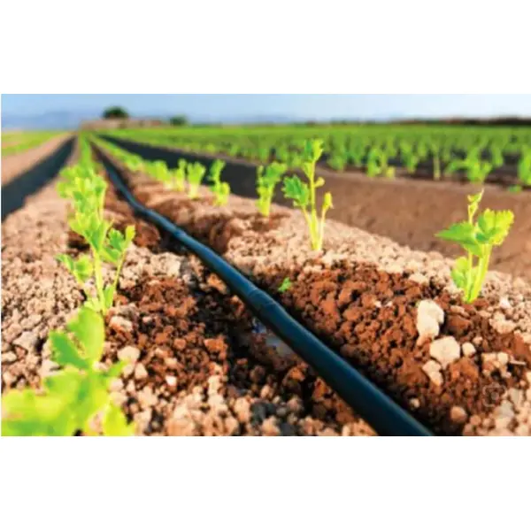 نوار آبیاری قطره‌ای روزنه 20 سانت - 3