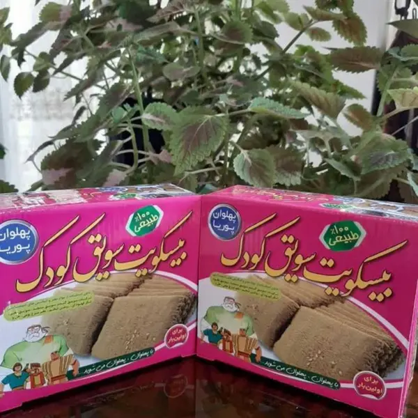 بیسکوئیت سویق کودک پهلوان (۲۵۰ گرمی) - 5