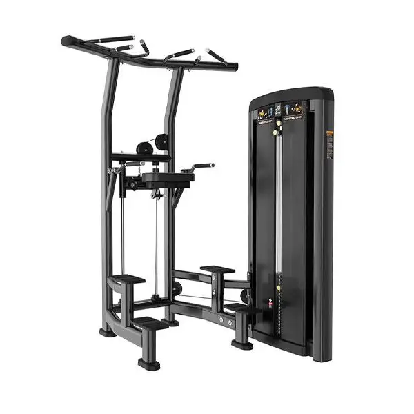 دستگاه بارفیکس کمکی LIFE FITNESS مدل BH10
