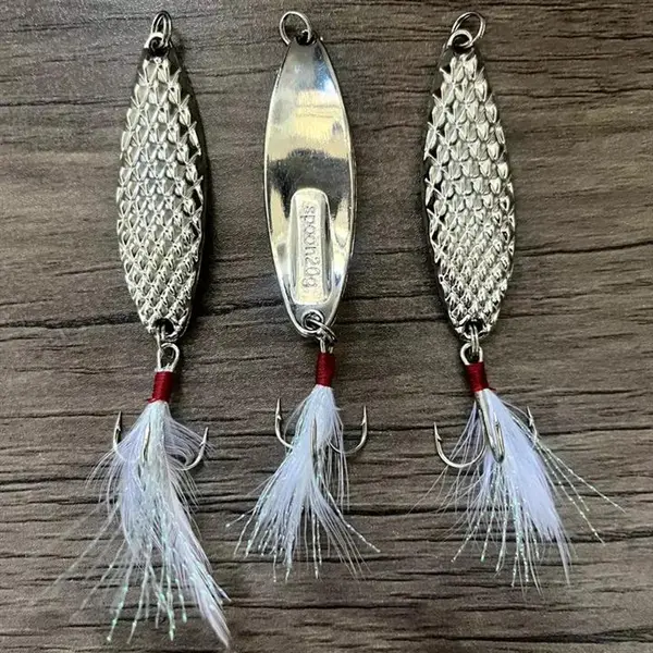 قاشقک Spoon داخل پولکی - 2