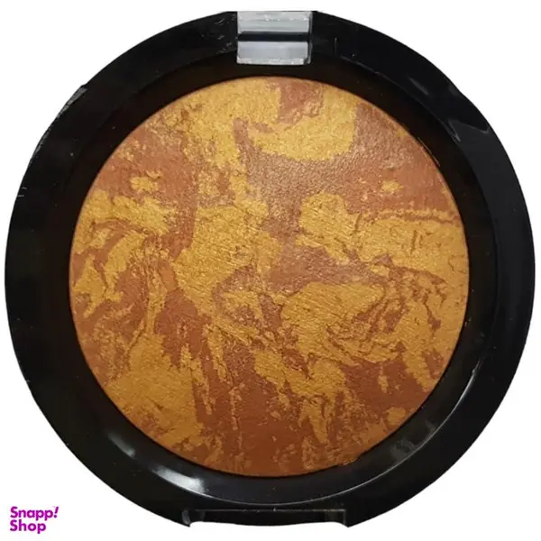 رژ گونه تراکوتا وزن 10 گرم باریش 205 - 2