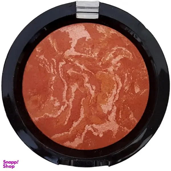 رژ گونه تراکوتا وزن 10 گرم باریش 206 - 2
