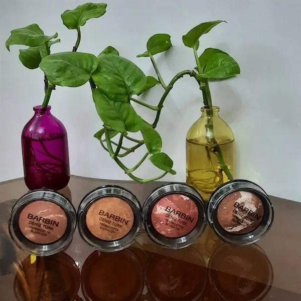 رژ گونه باربین شماره N3 - 3