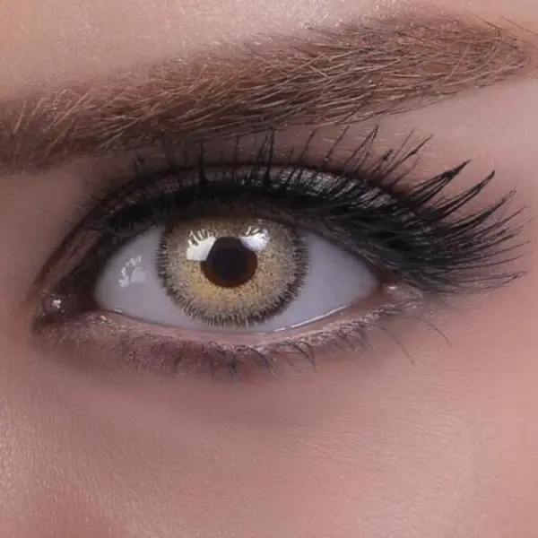 لنز رنگی رویال ویژن روزانه ، شماره 13 مدل Grafit Gray دور دار خاکستری عسلی سبز - 3