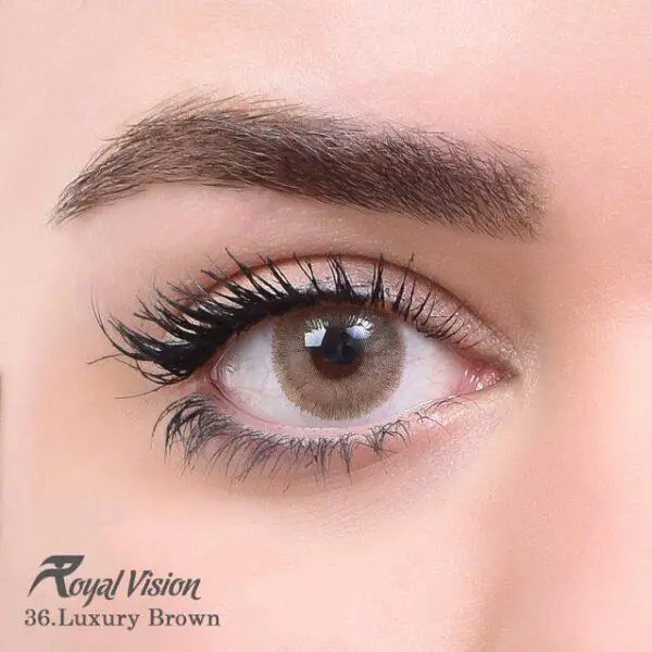 لنز رویال ویژن کد 35  Royal Vision Royal Vision sensual beauty lenses Pixy Brown - 3