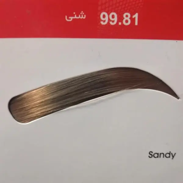 رنگ ابرو دنی وان شماره 99.81 حجم 15 میلی لیتر رنگ شنی - 3