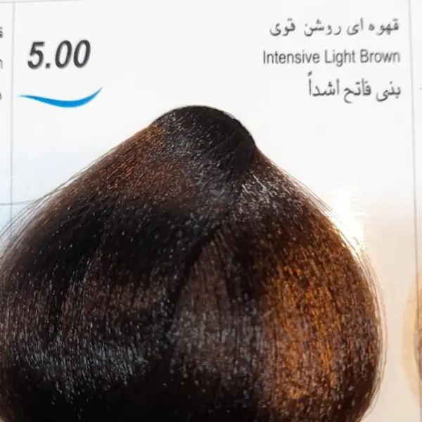 رنگ مو جوو مدل Excellence شماره 5.00 حجم 100 میلی لیتر رنگ قهوه ای روشن قوی