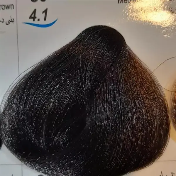 رنگ مو جوو مدل Excellence شماره 4.1 حجم 100 میلی لیتر رنگ قهوه ای دودی متوسط - 3