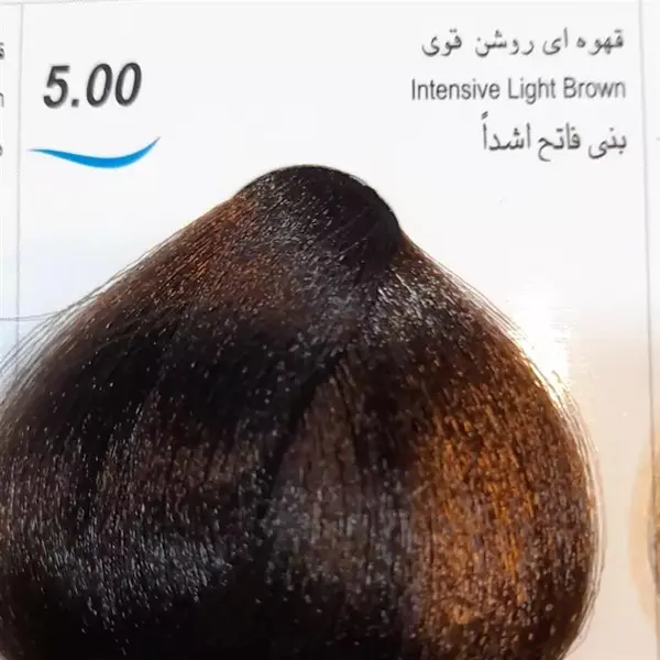 رنگ مو جوو مدل Excellence شماره 5.00 حجم 100 میلی لیتر رنگ قهوه ای روشن قوی - 2