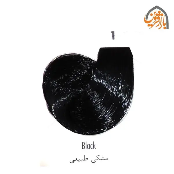 رنگ موی سری Natural Shades مدل Black شماره 1 ریتون - 6
